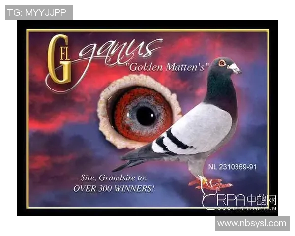 昔日日本足球巨星风采回顾与辉煌时代再现